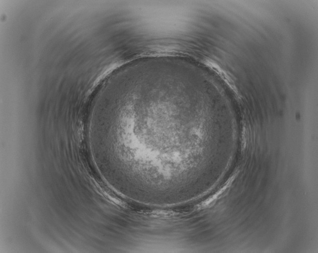 X0000086931449200704231318