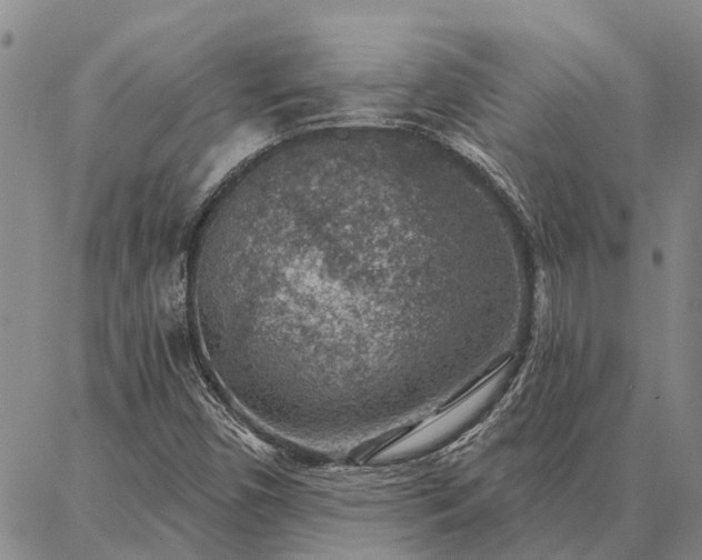 X0000086931450200704231318