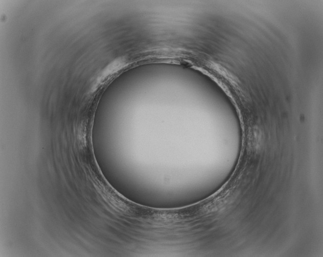 X0000086931451200704231318