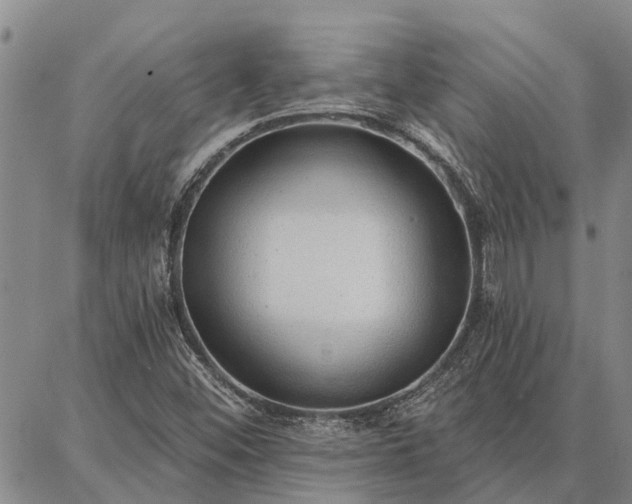 X0000086931452200704231318