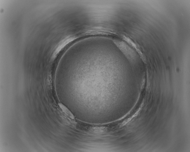 X0000086931453200704231318