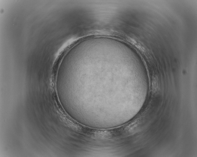 X0000086931454200704231318