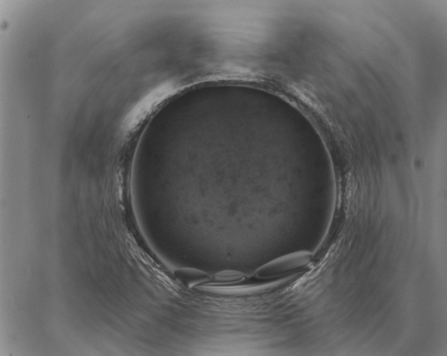 X0000086931455200704231318