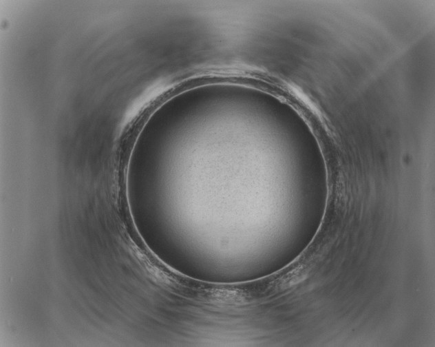 X0000086931456200704231318