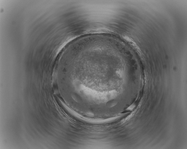 X0000086931457200704231318