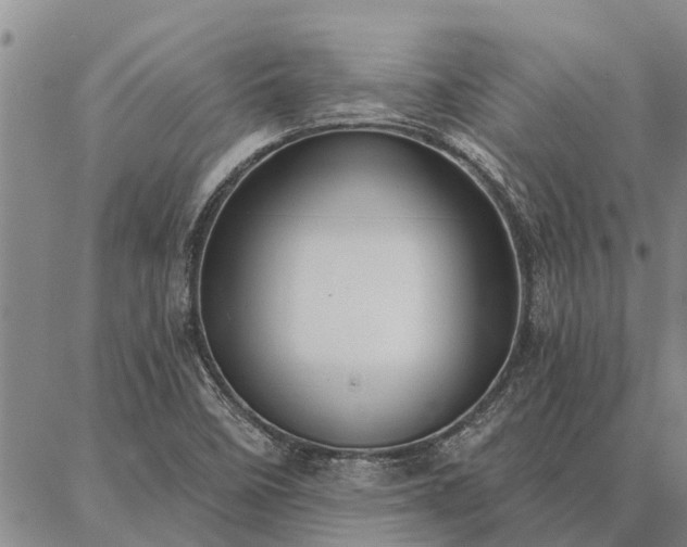 X0000086931458200704231318