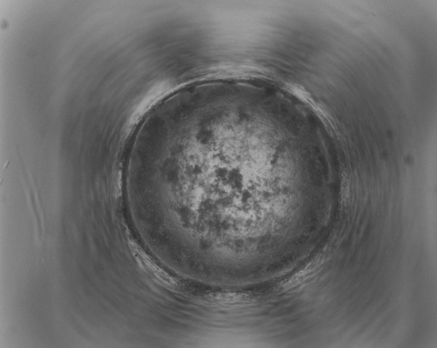 X0000086931459200704231318