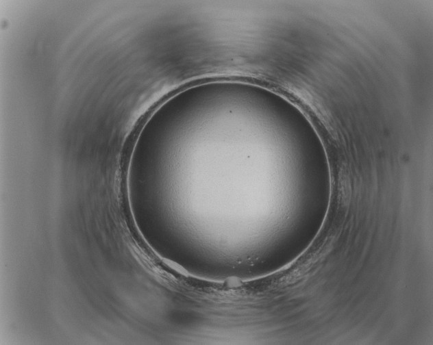 X0000086931460200704231318