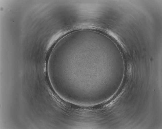 X0000086931461200704231318