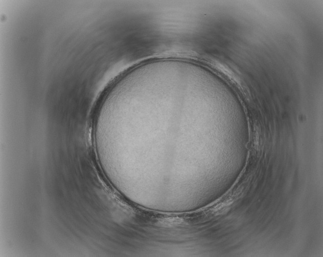 X0000086931462200704231318