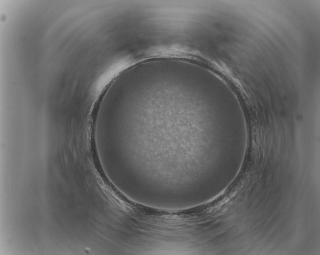 X0000086931463200704231318