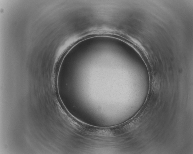 X0000086931464200704231318