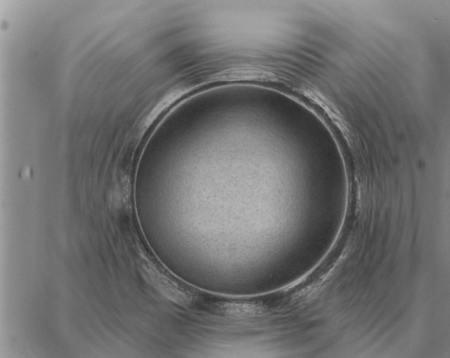 X0000086931465200704231318