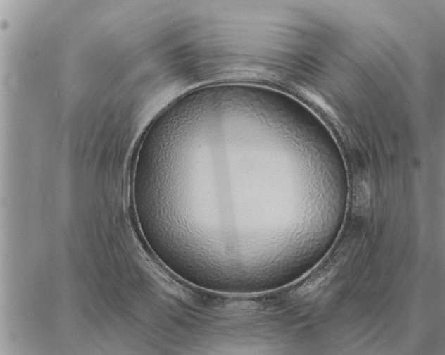 X0000086931467200704231318