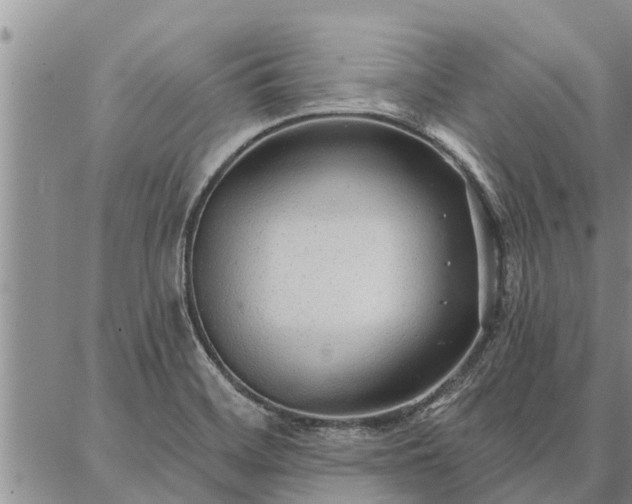 X0000086931468200704231318