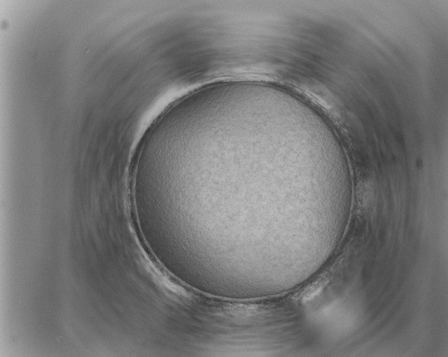 X0000086931470200704231318