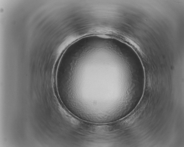 X0000086931471200704231318