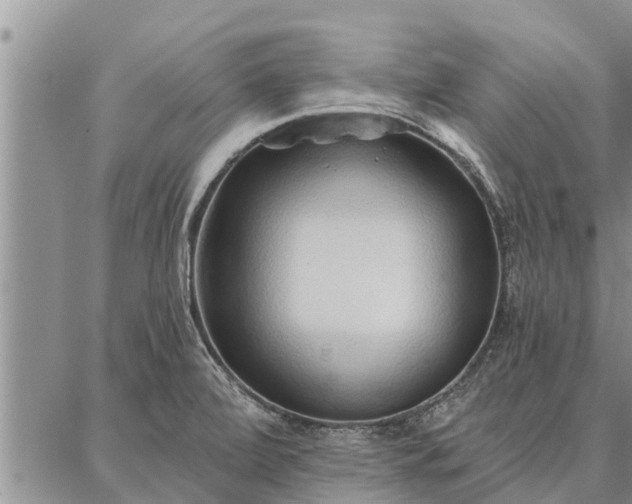 X0000086931472200704231318