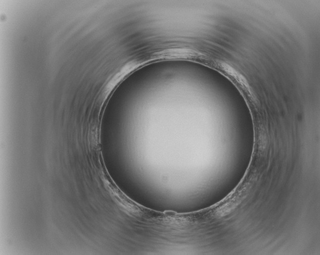 X0000086931473200704231318