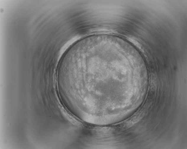 X0000086931474200704231318