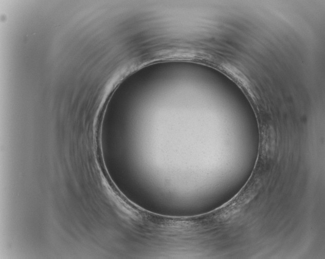 X0000086931475200704231318