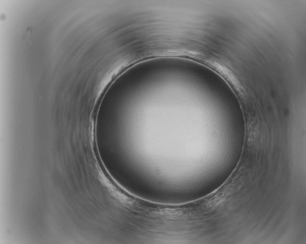 X0000086931476200704231318