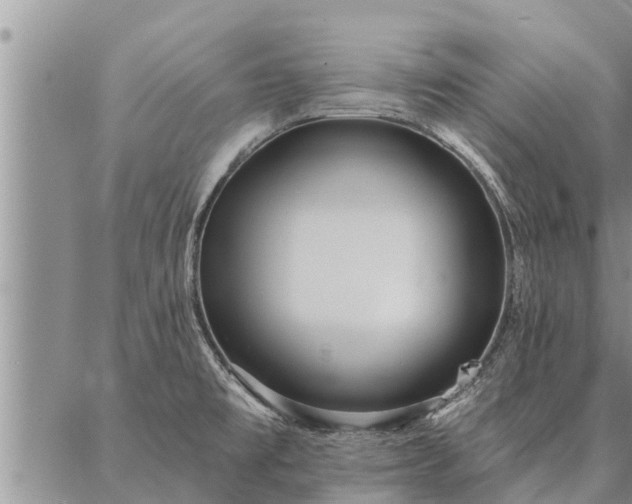 X0000086931477200704231318