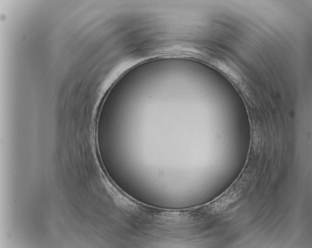 X0000086931478200704231318