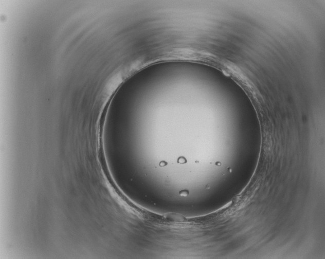 X0000086931479200704231318