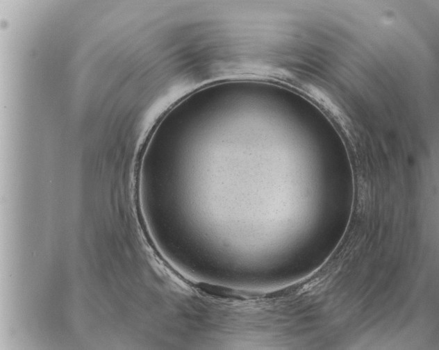 X0000086931480200704231318