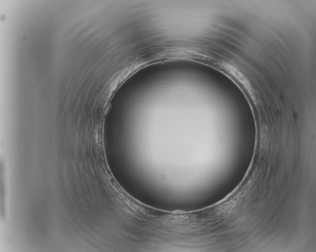 X0000086931481200704231318