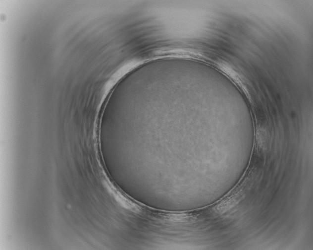 X0000086931482200704231318