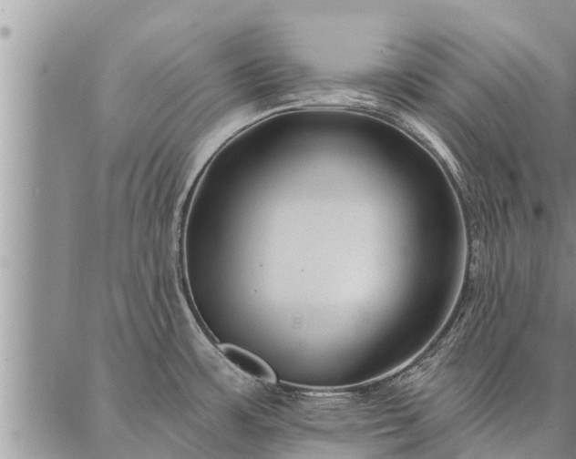 X0000086931483200704231318