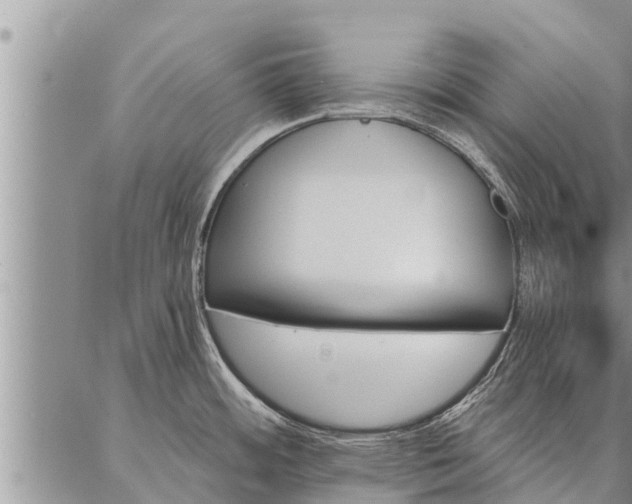 X0000086931484200704231318