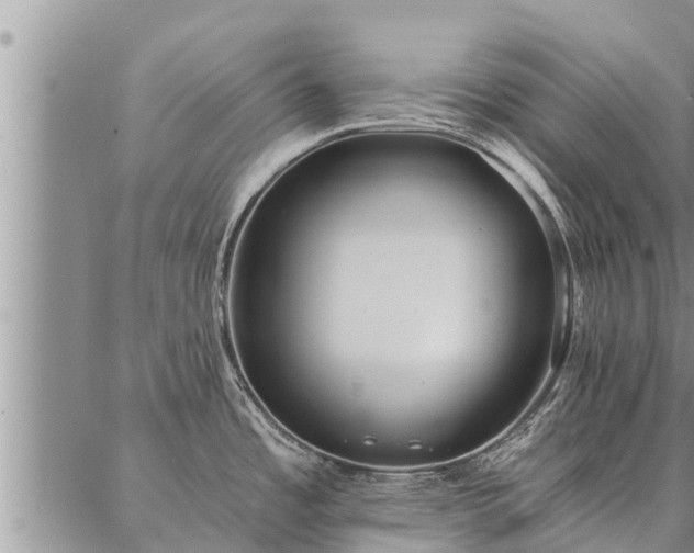 X0000086931485200704231318