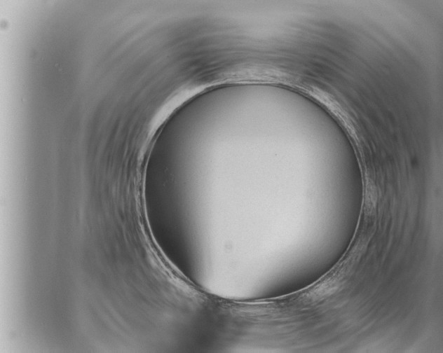 X0000086931486200704231318