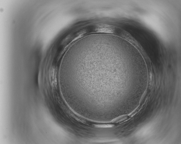 X0000086931487200704231318