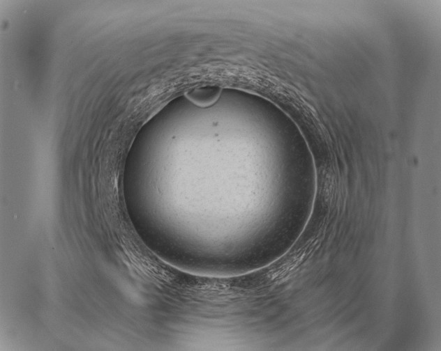 X0000086931489200704231317