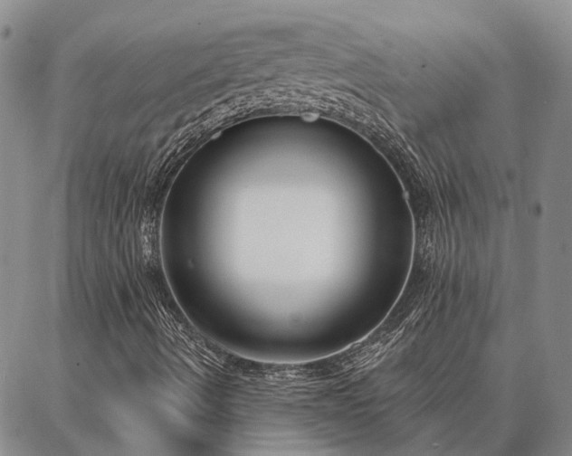 X0000086931490200704231317