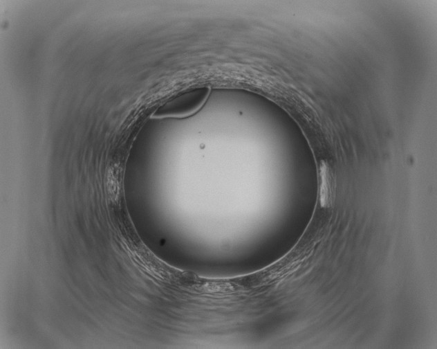 X0000086931491200704231317