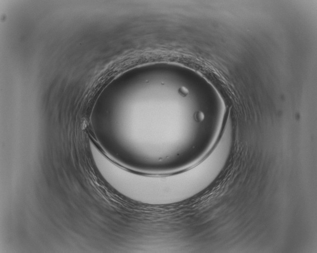 X0000086931492200704231317