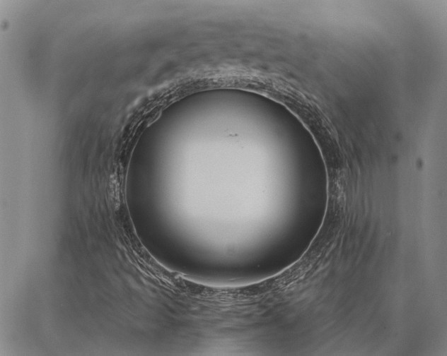 X0000086931493200704231317