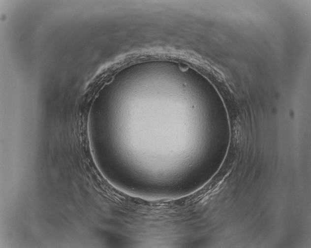 X0000086931494200704231317