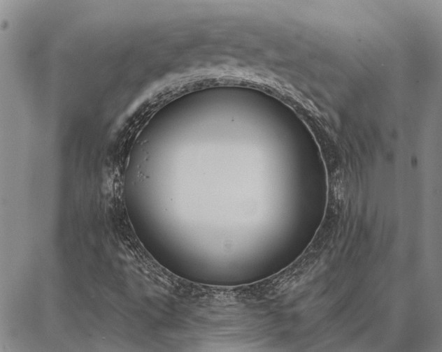 X0000086931495200704231317