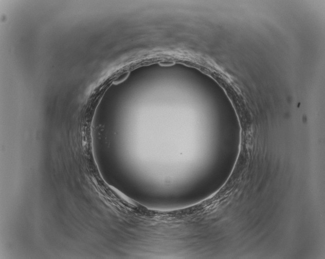 X0000086931496200704231317