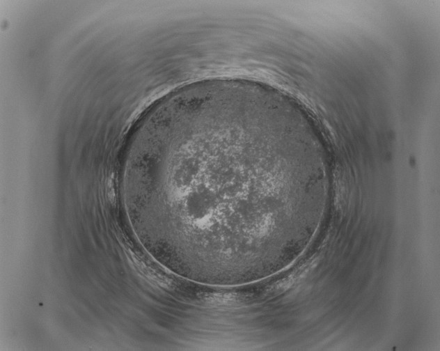 X0000086931497200704231317