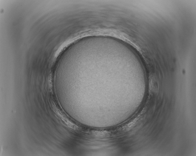 X0000086931498200704231317