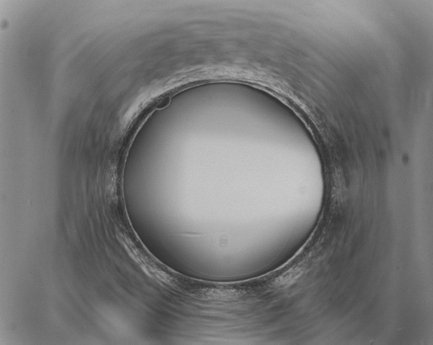 X0000086931499200704231317