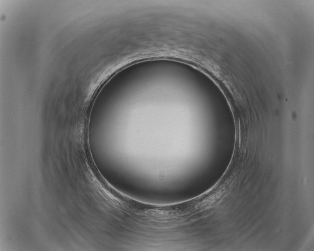 X0000086931500200704231317