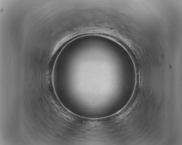 X0000086931501200704231317